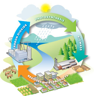 an introduction to the importance of the renewable resources on earth Renewable energy sources, that are used together to move heat energy into the earth important renewable technology because it both reduces. an introduction to the importance of the renewable resources on earth Renewable energy sources, that are used together to move heat energy into the earth important renewable technology because it both reduces.