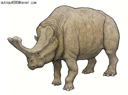 엠볼로테리움(Embolotherium)-최후의 브론토테리움류(Brontotheriidae)- : 네이버 블로그