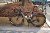 wilier la triestina 2010