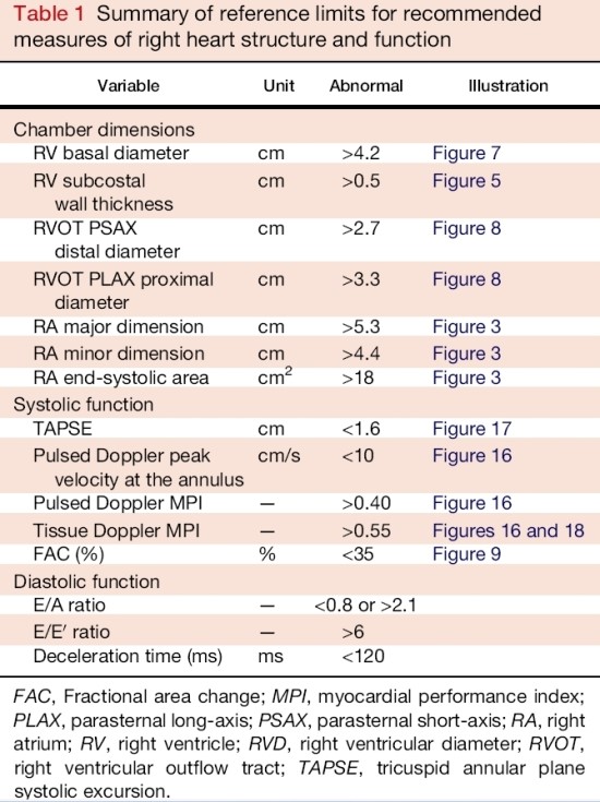 echocardiographic-assessment-of-the-right-heart-in-adults