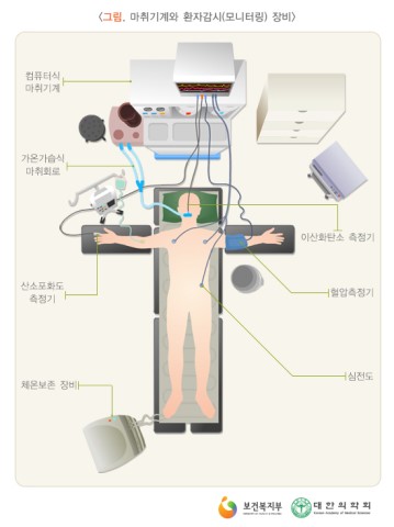 Aisthesis anesthesia