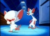 download pinky and the brain 1993