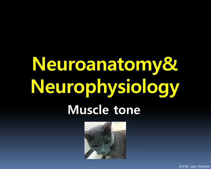  7 Muscle Tone hypertonia hypotonia
