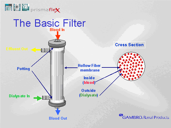 50GPD Terminal Purification RO Element Filter Membrane Housing Common Applicatio