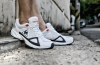 le coq sportif dragon