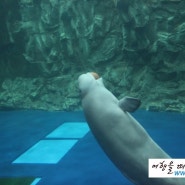 섬네일