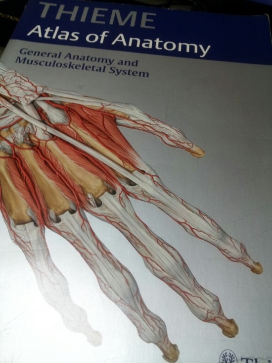 Thieme atlas of anatomy(최고의 해부학교재) : 네이버 블로그