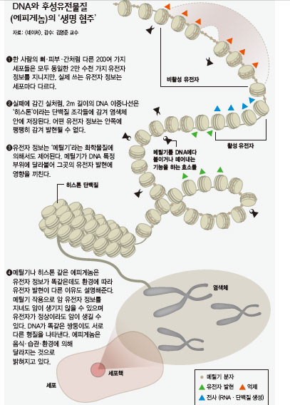 후성유전학 네이버 블로그