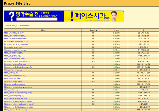 국내 차단 사이트 프록시 사이트로 우회 Ip우회 네이버 블로그