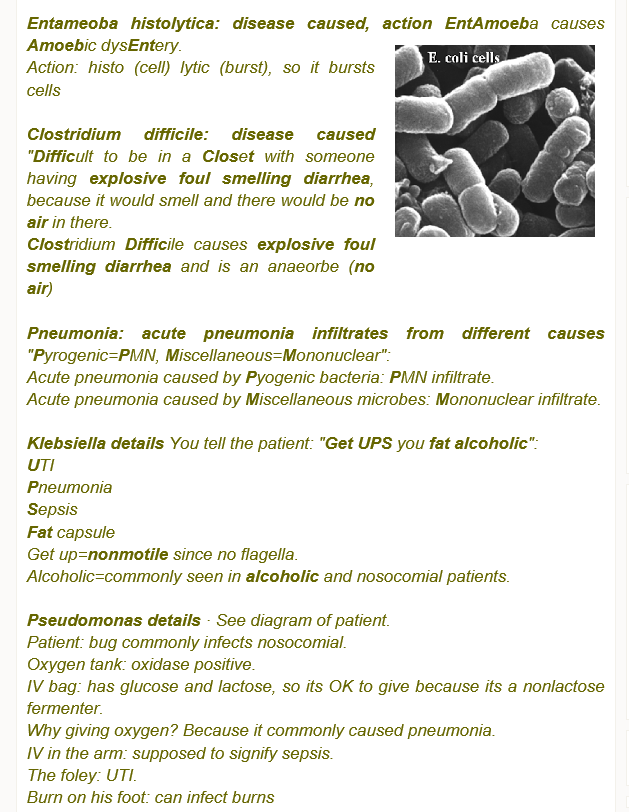 Mnemonics For Microbiology Ë¤ì´ë² Ë¸ë¡ê·¸