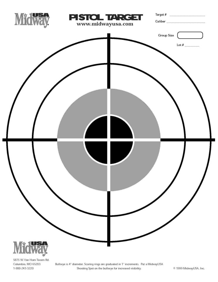 AR 15 Mini 14 M1 Carbine 권총 사격표적지 : 네이버 블로그
