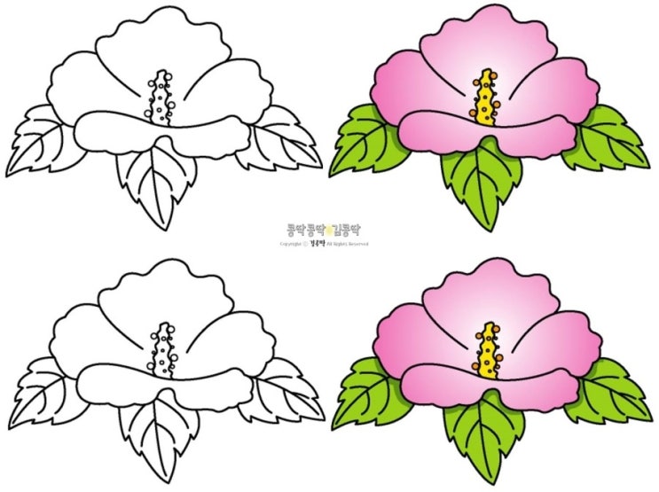 우리나라 무궁화 꽃 이미지 도안 색칠하기 네이버 블로그 9230