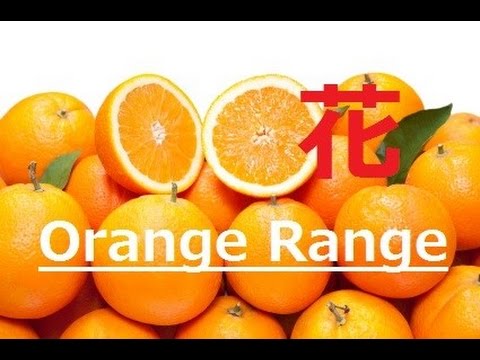 Orange Range Hana 꽃 네이버 블로그