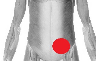 왼쪽 아랫배 통증 원인 확인하기
