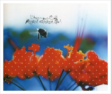 강철의 연금술사 2기 오프닝 Ready Steady Go L Arc En Ciel 라르크 앙 시엘 네이버 블로그