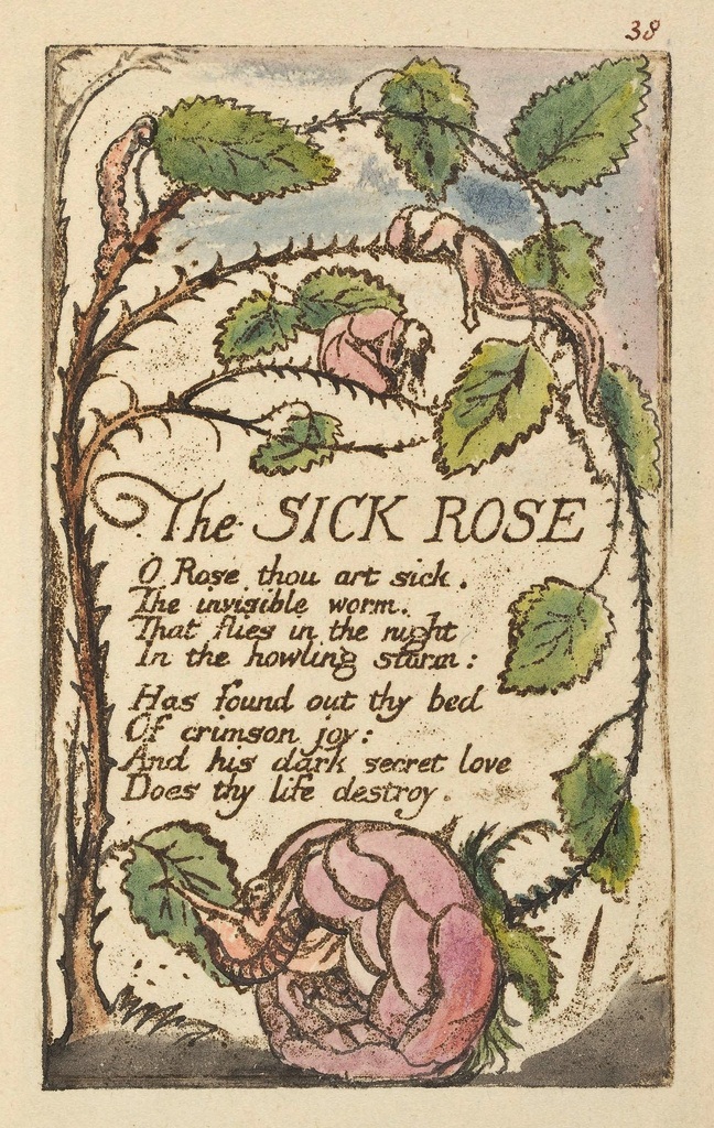 the sick rose Critic harold bloom refers to this short poem as one of blake's gnomic triumphs the speaker addresses a rose, which he claims is sick because an “invisible worm” has “found out thy bed/of crimson joy” the rose symbolizes earthly, as opposed to spiritual, love, which becomes ill when. the sick rose Critic harold bloom refers to this short poem as one of blake's gnomic triumphs the speaker addresses a rose, which he claims is sick because an “invisible worm” has “found out thy bed/of crimson joy” the rose symbolizes earthly, as opposed to spiritual, love, which becomes ill when.