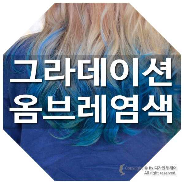 toluidine blue 염색 원리