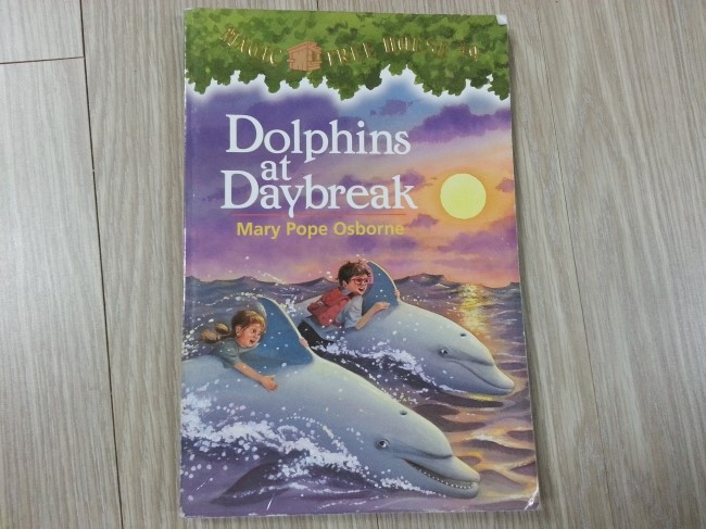 초등 영어책 읽기, magic tree house 9 Dolphins at Daybreak 네이버 블로그