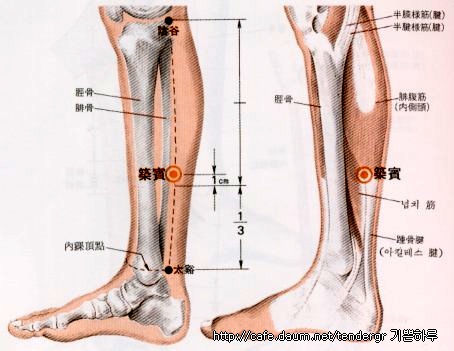 축빈혈자리에 대한 이미지 검색결과