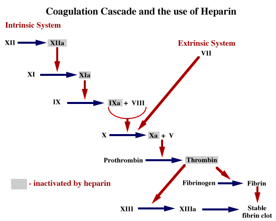 coagulation-diapharma-vrogue-co