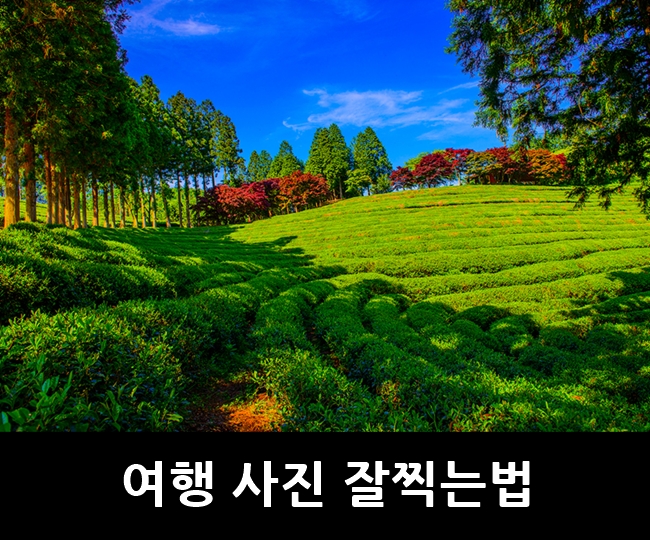 사진 잘 찍는법 여행 풍경 인물 스냅샷 네이버 블로그