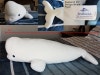 beluga whale stuffed animal seaworld