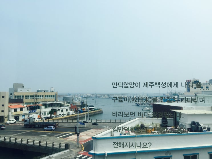[너굴양X제주다움] 넷째 주, 끝은 시작이다