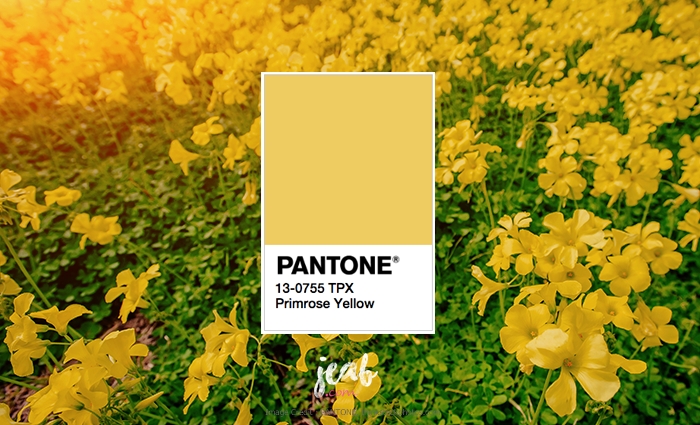 2017 팬톤 트렌드컬러 봄 유행색 프림로즈옐로우 PRIMROSE YELLOW : 네이버 블로그