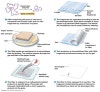 southern northern western blot