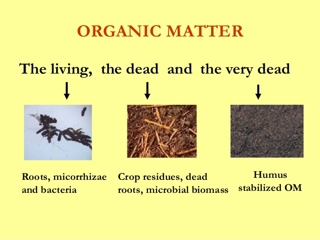 soil-organic-matter