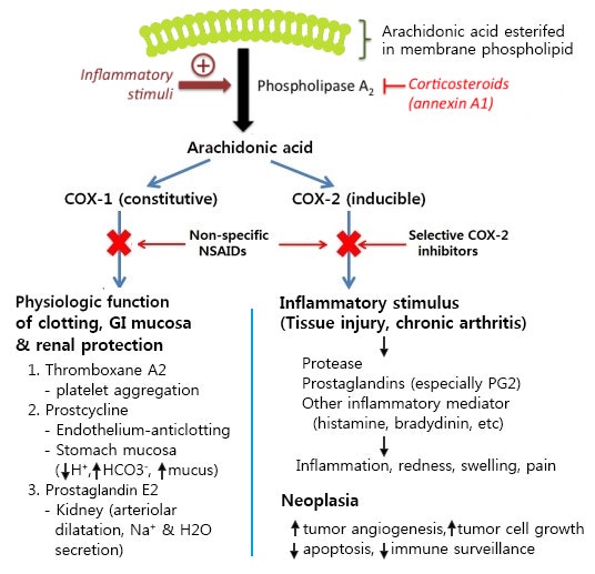올바른 내과적 NSAIDs 처방 네이버 블로그