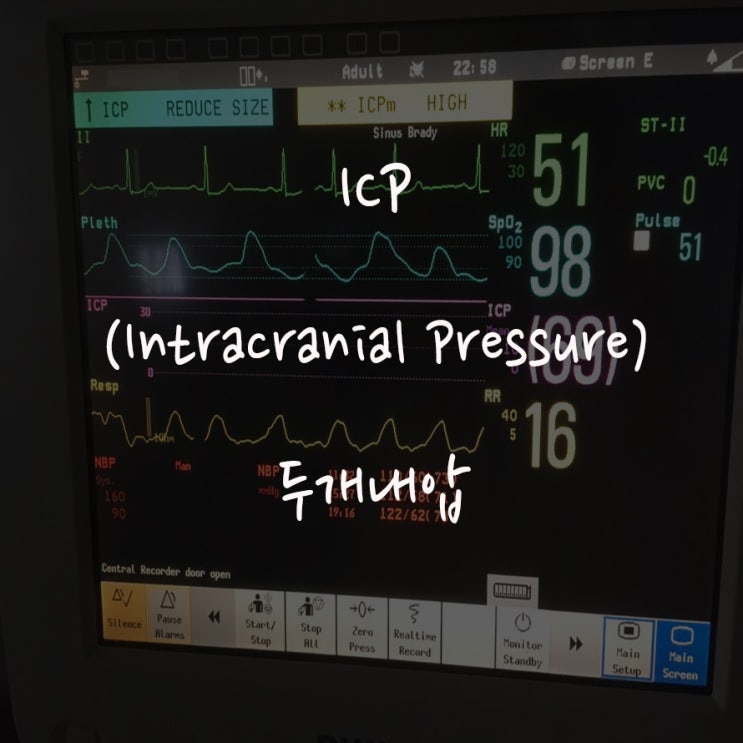 Intracranial Pressure(ICP) Monitoring, 두개내압 감시 및 측정 네이버 블로그