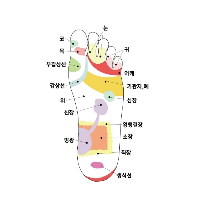 발바닥 혈자리 발바닥 지압 포인트 네이버 블로그 1705