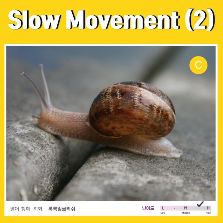 slow-movement-2