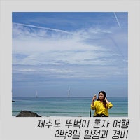 제주도 뚜벅이 혼자여행 2박3일 일정과 경비 네이버 블로그