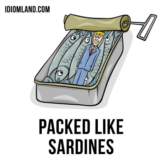 오늘의 영어표현(878) It's packed like sardines 네이버 블로그