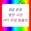 B급 감성 병맛 사진으로 만든 PPT 무료 템플릿! : 네이버 블로그